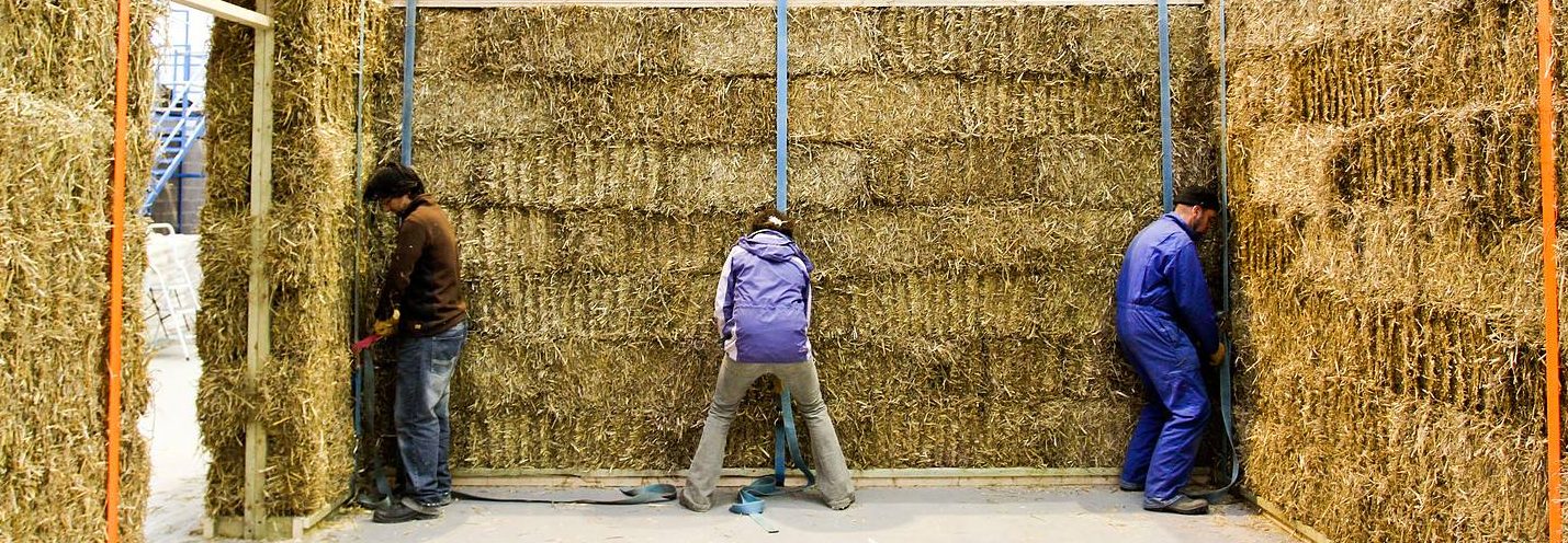 Add your skills to the ESBA database